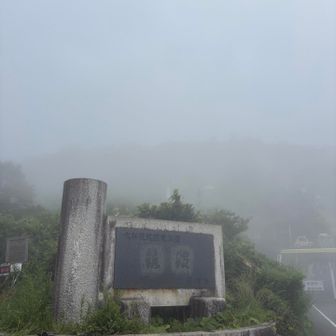 ほぼ前見えてませんやん😨