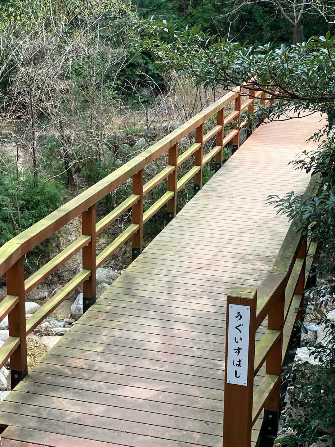 菰野富士登山口-菰野富士 往復コースの写真