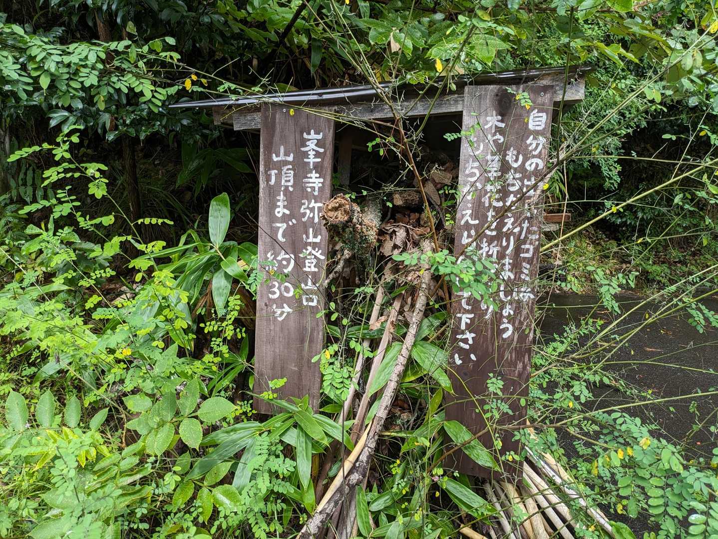 峯寺弥山まで、頑張れ💪