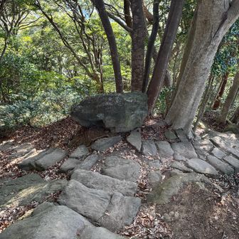 石段が続きます