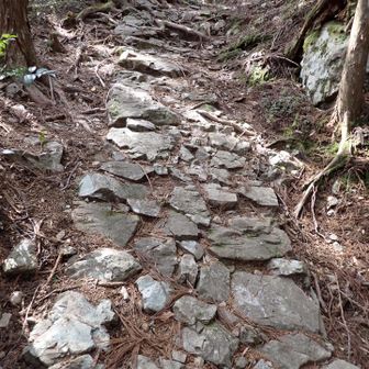 所々にある石畳