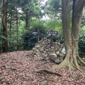 可也山山頂は眺望なし！あとちょっと歩いて展望台へ