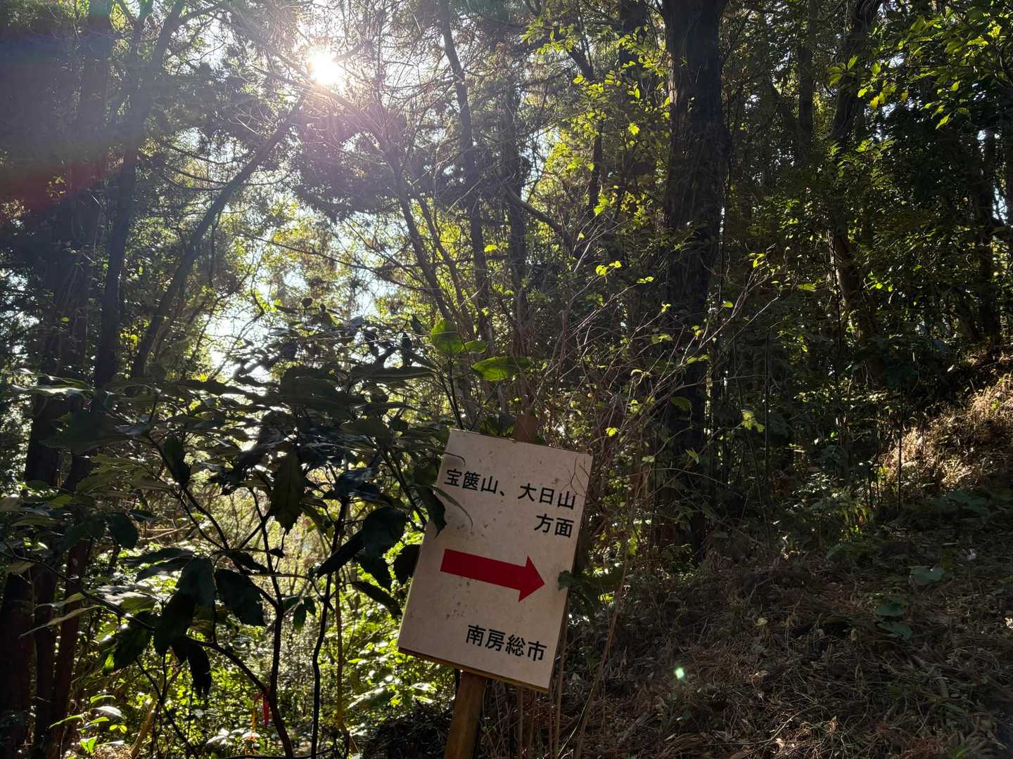 御殿山-鷹取山-宝篋塔山 往復コースの写真