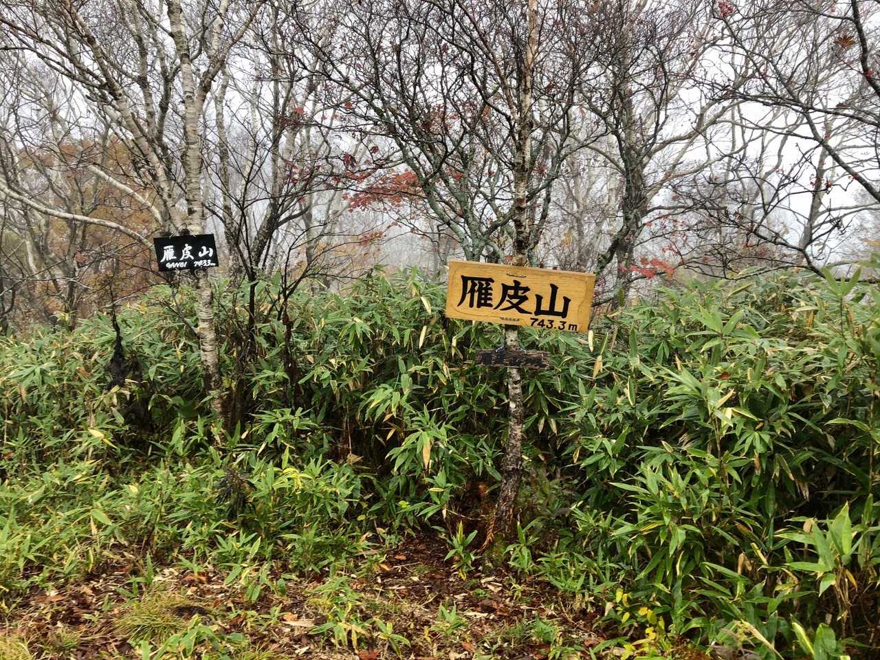 雁皮山到着！ 雨降ってるし景色も見えず早々に下山💦
