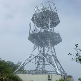 突然巨大な鉄塔が現れた