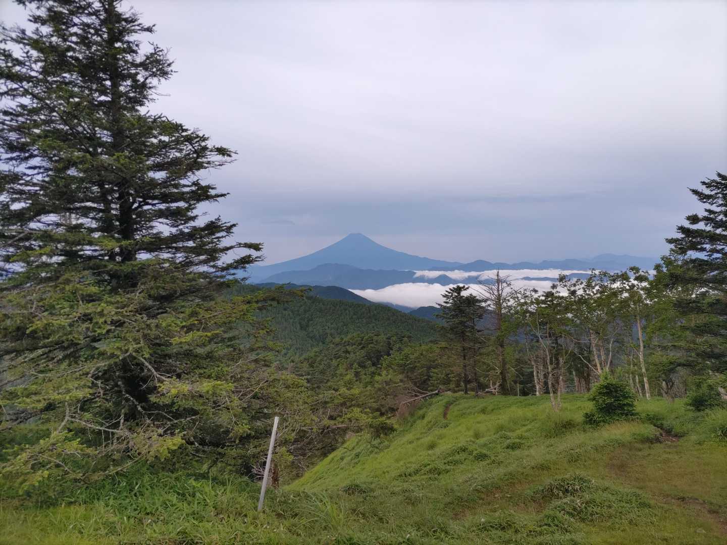 牛奥ノ雁ヶ腹摺山 往復コースの写真