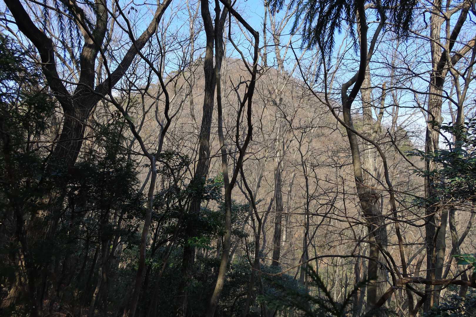 あれが三床山かなあ
かなり高く見えるのに、ここで道は下っています…