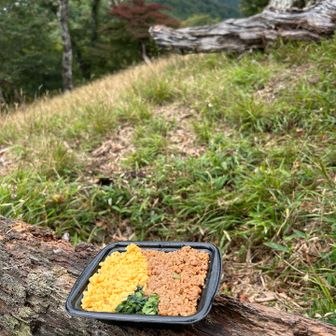 行者還岳を見ながら大駈分岐で昼ごはん🍱