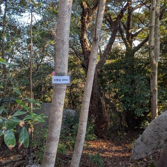 本善坊山頂
眺望なし