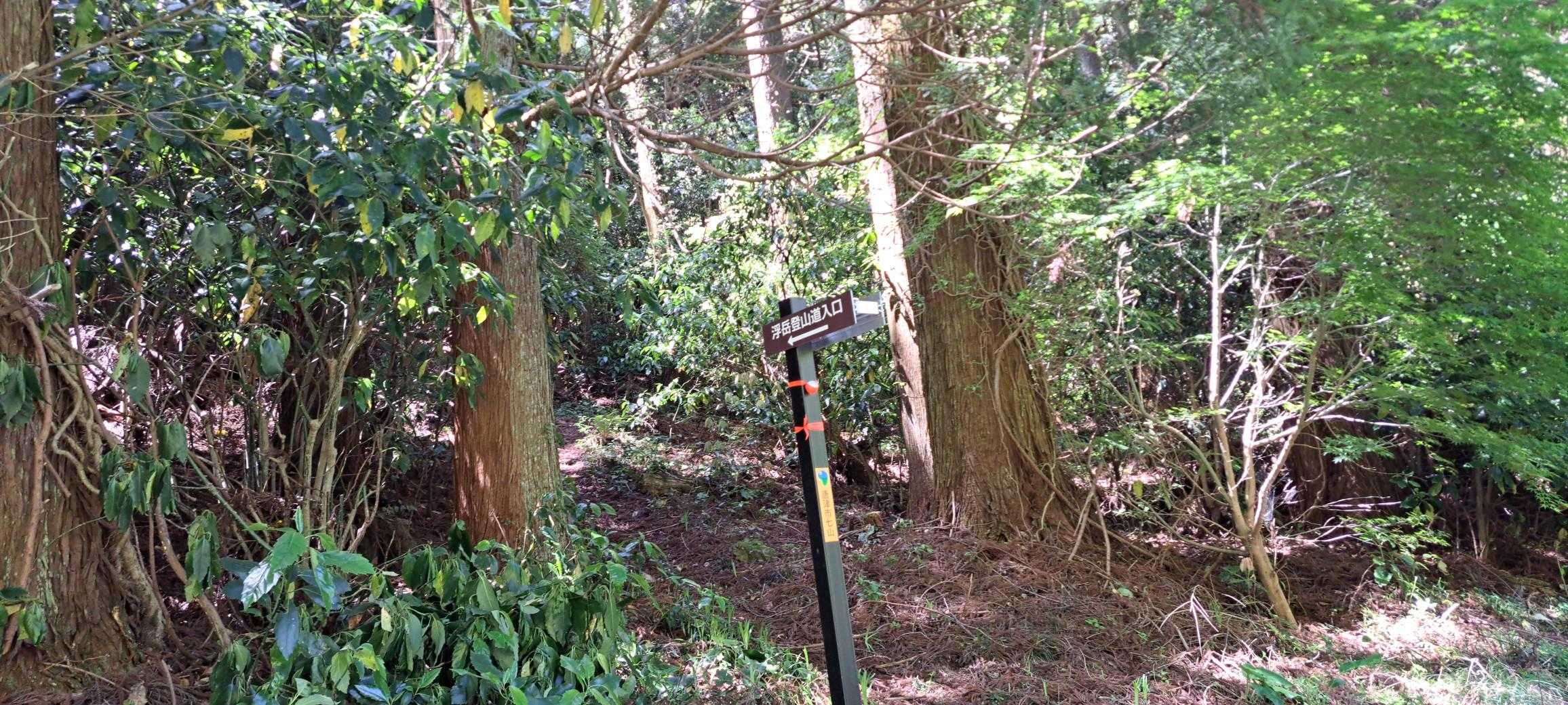 浮獄北登山口から登ります🏃‍♂️