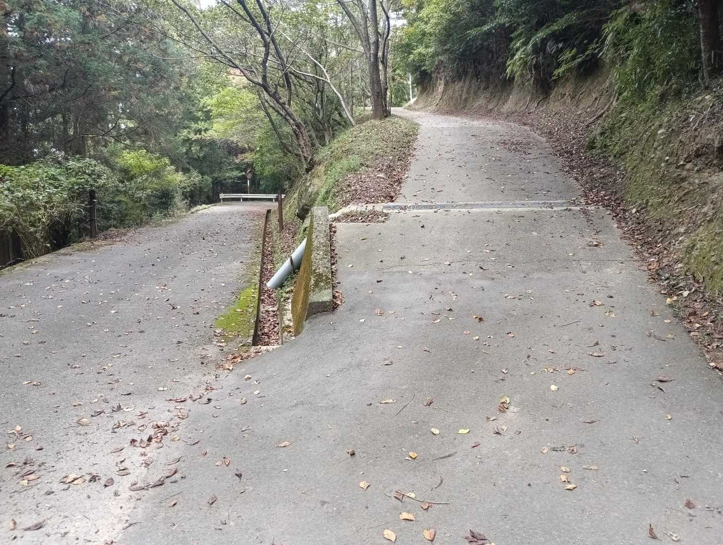 分岐