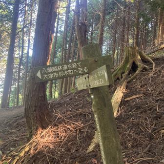 下山ルートが、八瀬越林道と知る
