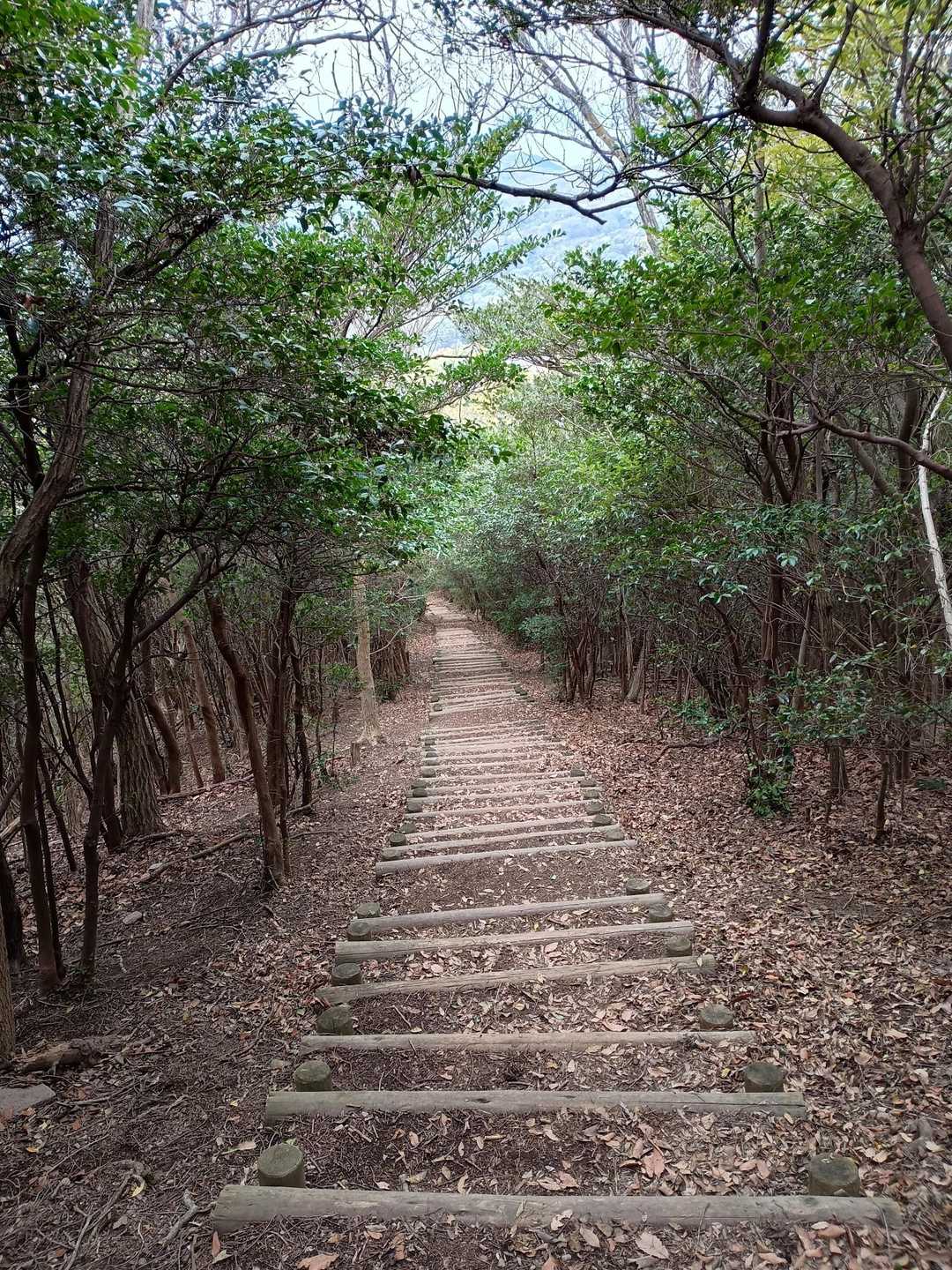 紫雲出山 周回コースの写真