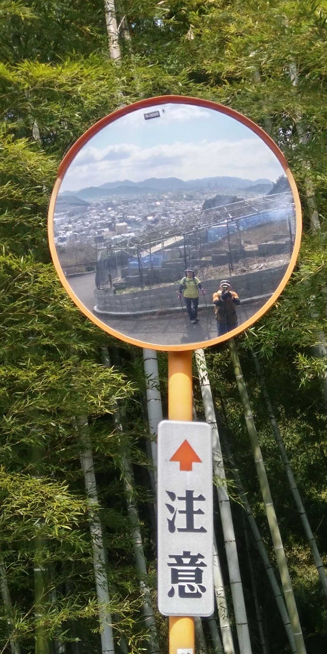 📸お遊び