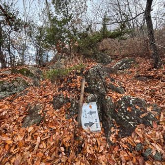 おっ、あと少しで愛宕山だ。岩場選ぶよ