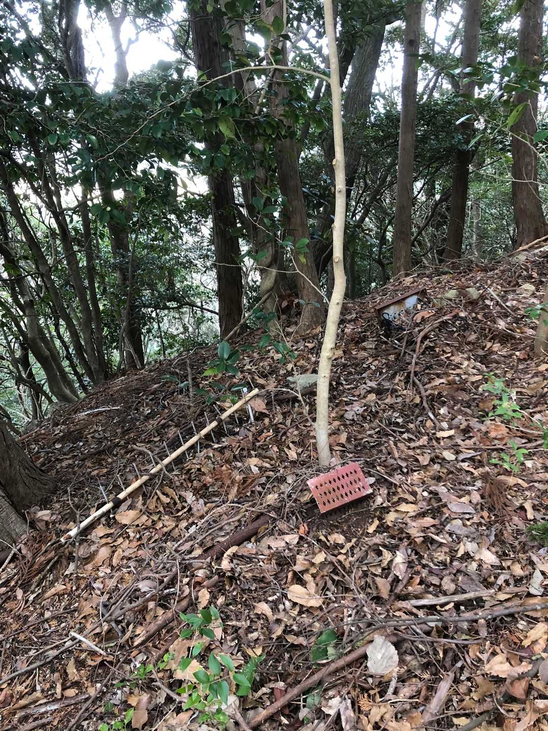 集合アンテナでも設置してあったんかな
