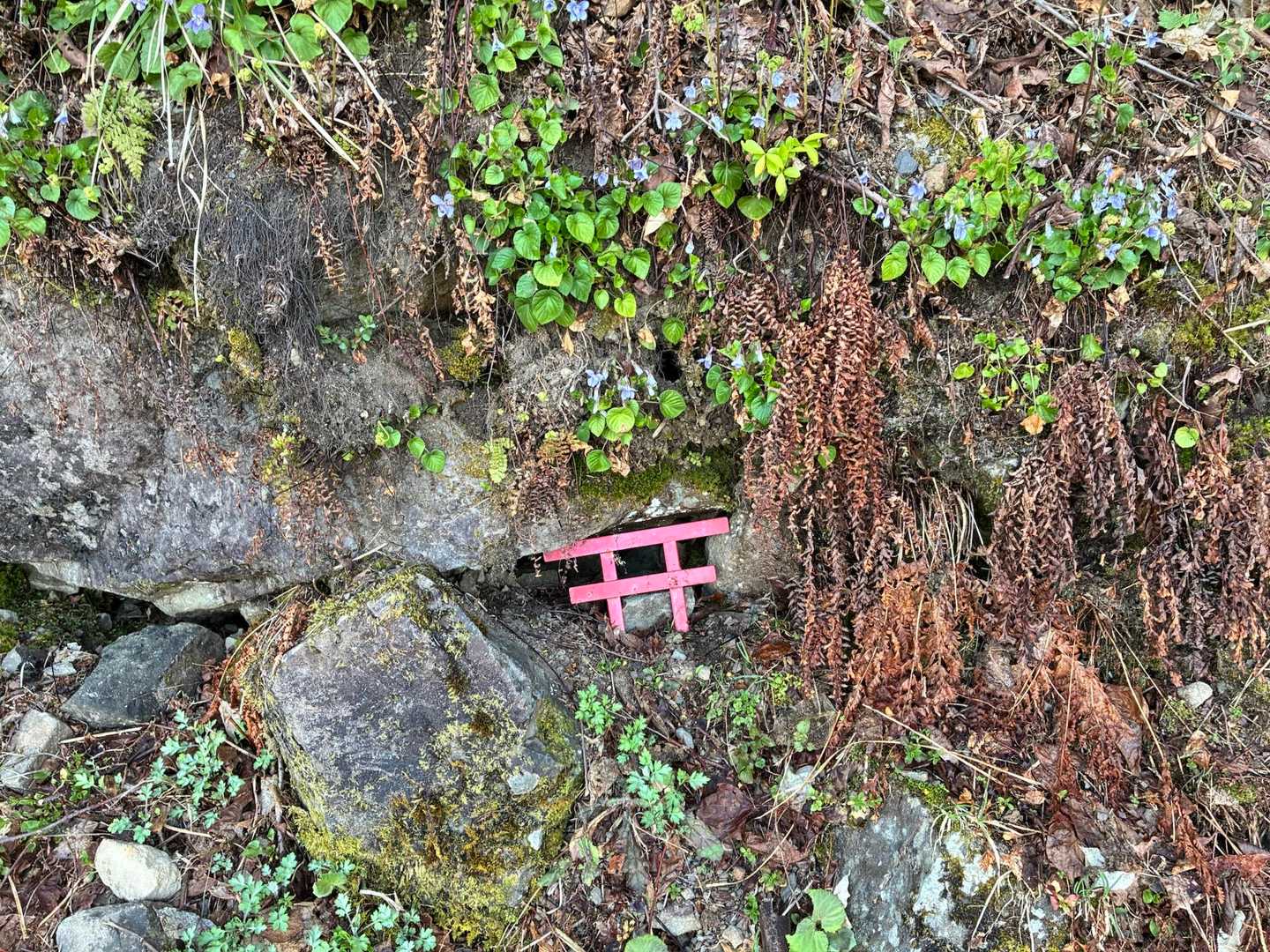 風穴さん⛩️