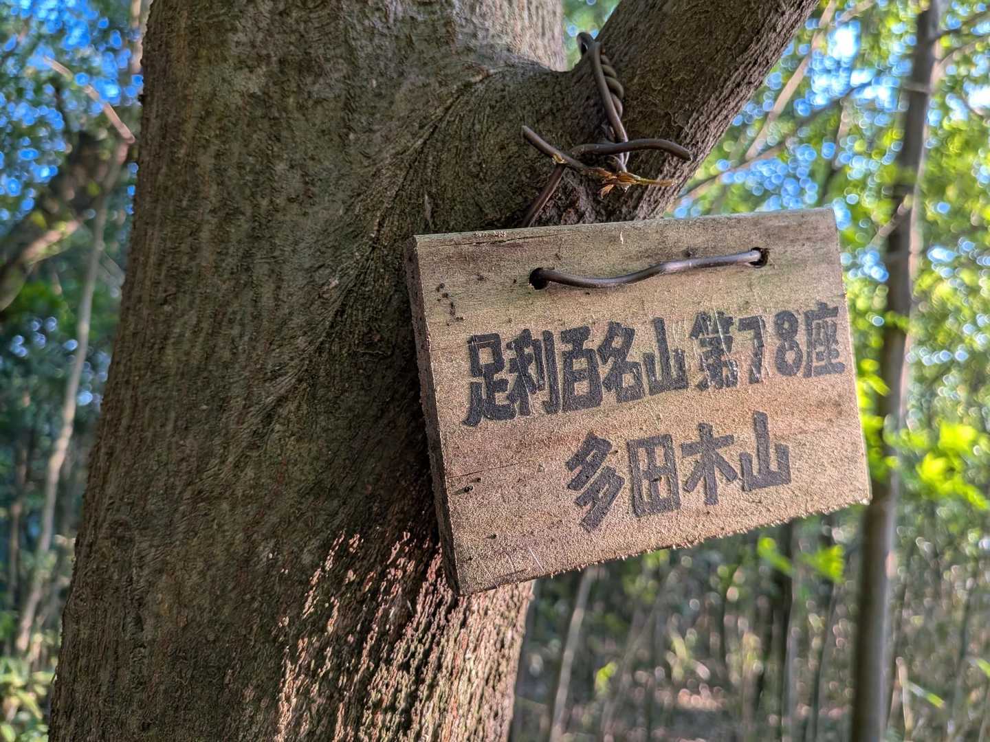 パークを出て
近くにピークがあったので、勿論ゲットしました。
念願だったネモフィラと思いがけない藤や沢山のお花達が見れて
とっても癒やされた一日になりました。
遠くまで連れて行ってくれてありがとうございます。
とっても楽しい日になりました。