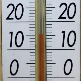 気温は15.5℃と高く、登りは汗ばむほど。蜂や蝶が飛んでいた。