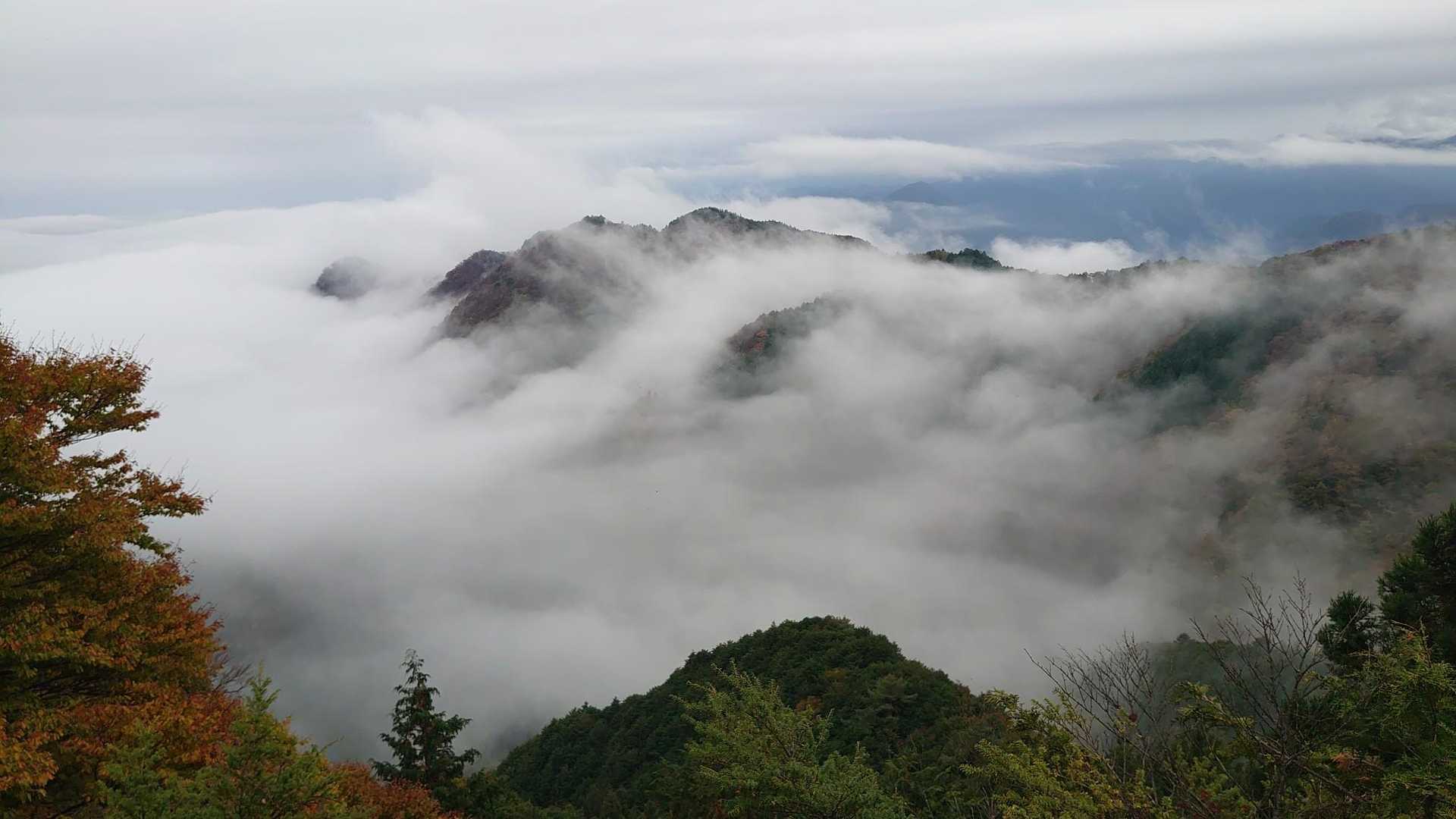 御岳山駅-御岳山-大岳山 往復コースの写真
