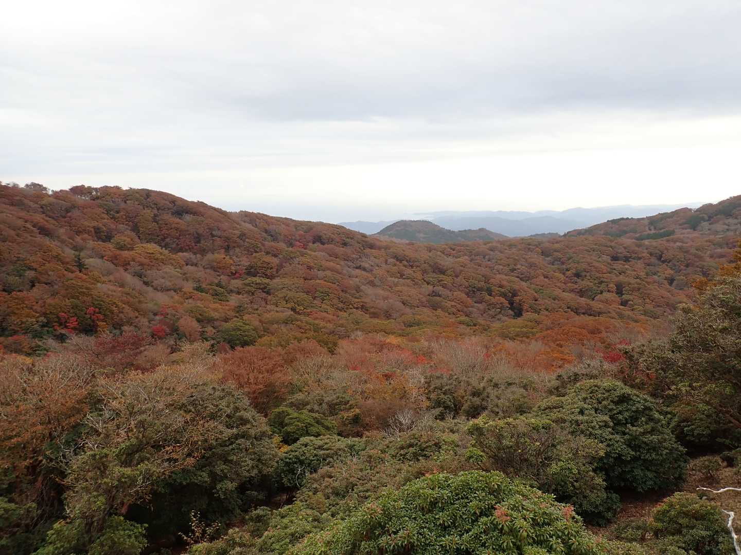 天城山縦走コースの写真
