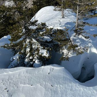 山頂付近に3カ所ほど深いツリーホールありました🕳️
男性でもスッポリ頭の上まで落ちる深さでしたのでお気をつけください✋

※私はツリーホール上のスノーブリッジを歩いていますので、もし明日以降に私の踏み跡を使用される場合は体重を乗せる前に崩壊しないことを確認してくださいね⚠️(5kg減量して軽くなってます🤣)