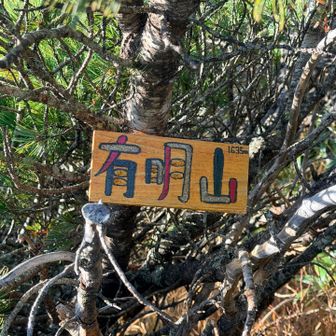 先程の少し左手の木の枝にありましたー😄
山頂は残念ながら眺望はほぼ無し😑
