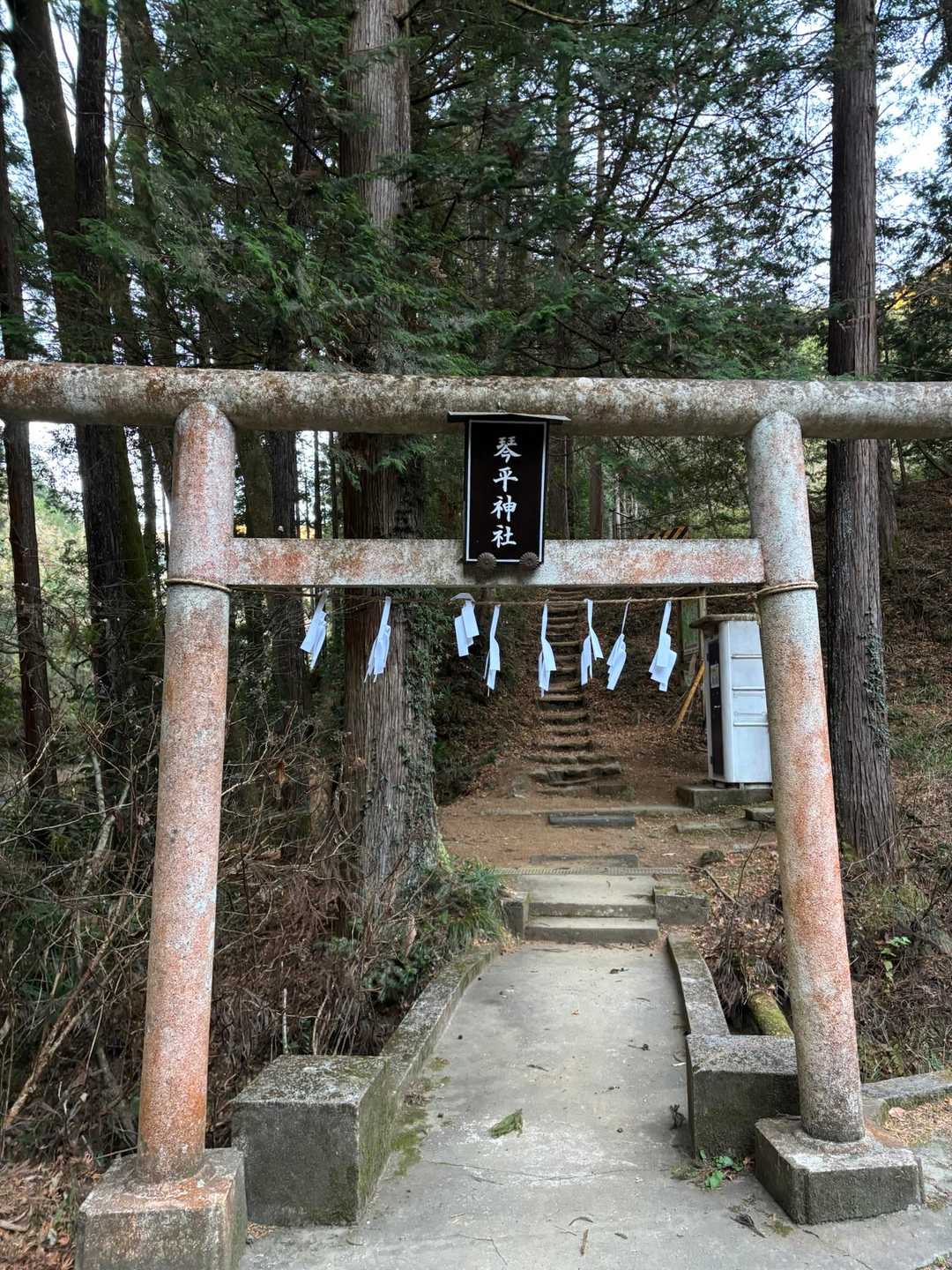 古里駅-中ノ棒山-大塚山-日の出山-梅野木峠-金比羅神社- 縦走コースの写真
