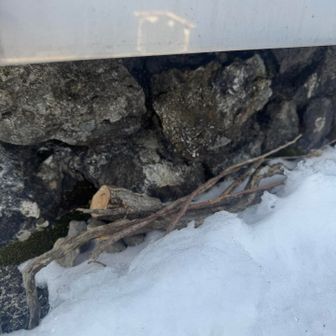 オラフのおメメたちは隠してるから👀
また作ろ〜う☃️