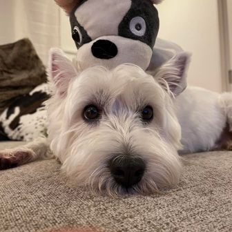 ⭐︎-ichiyu-⭐︎