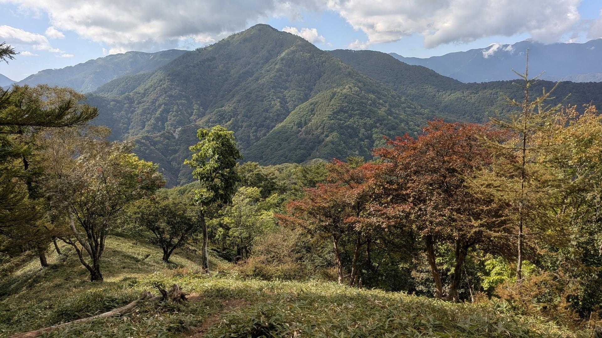 半月山登山口-半月峠-中禅寺山-阿世潟峠 往復コースの写真
