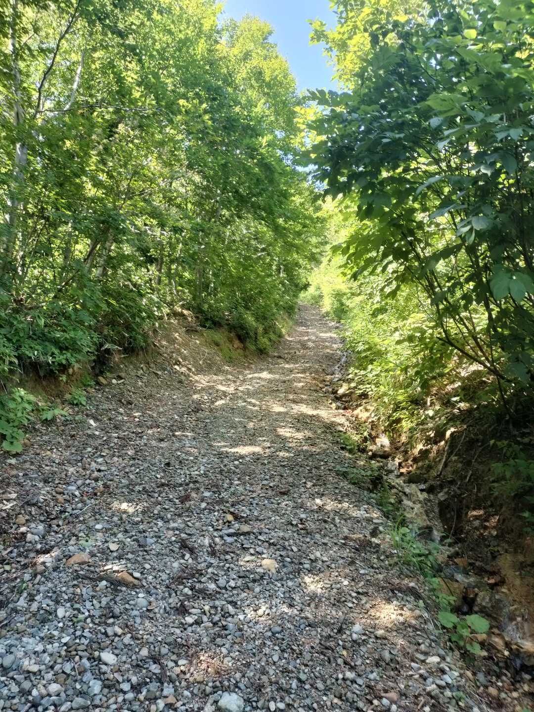斜度が増してきた