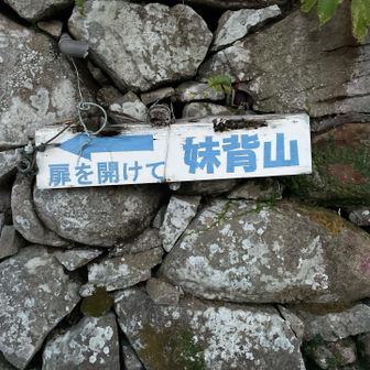 登山スタート