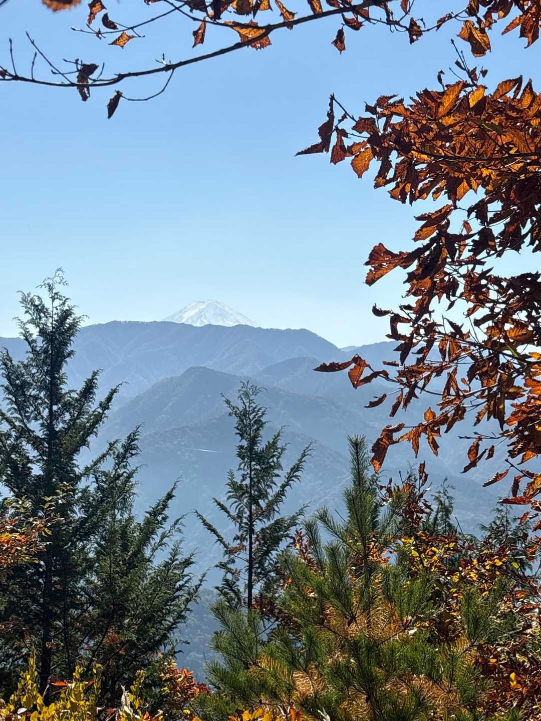 柏尾山-甲州高尾山 往復コースの写真