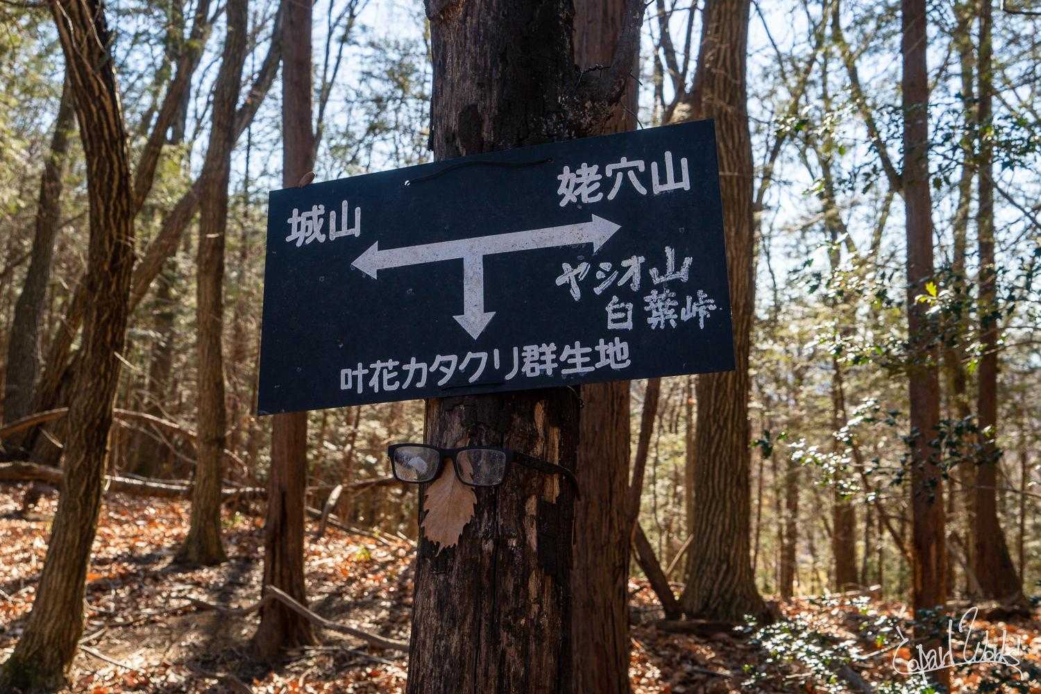 10こ目のピーク「ヤシオ山」を撮り忘れつつ、駐車場へ降りられる分岐ポイントへ
左に折れれば車を停めてある叶花（かのうけ）集会場、まっすぐ進めばもう２つピークを踏める…