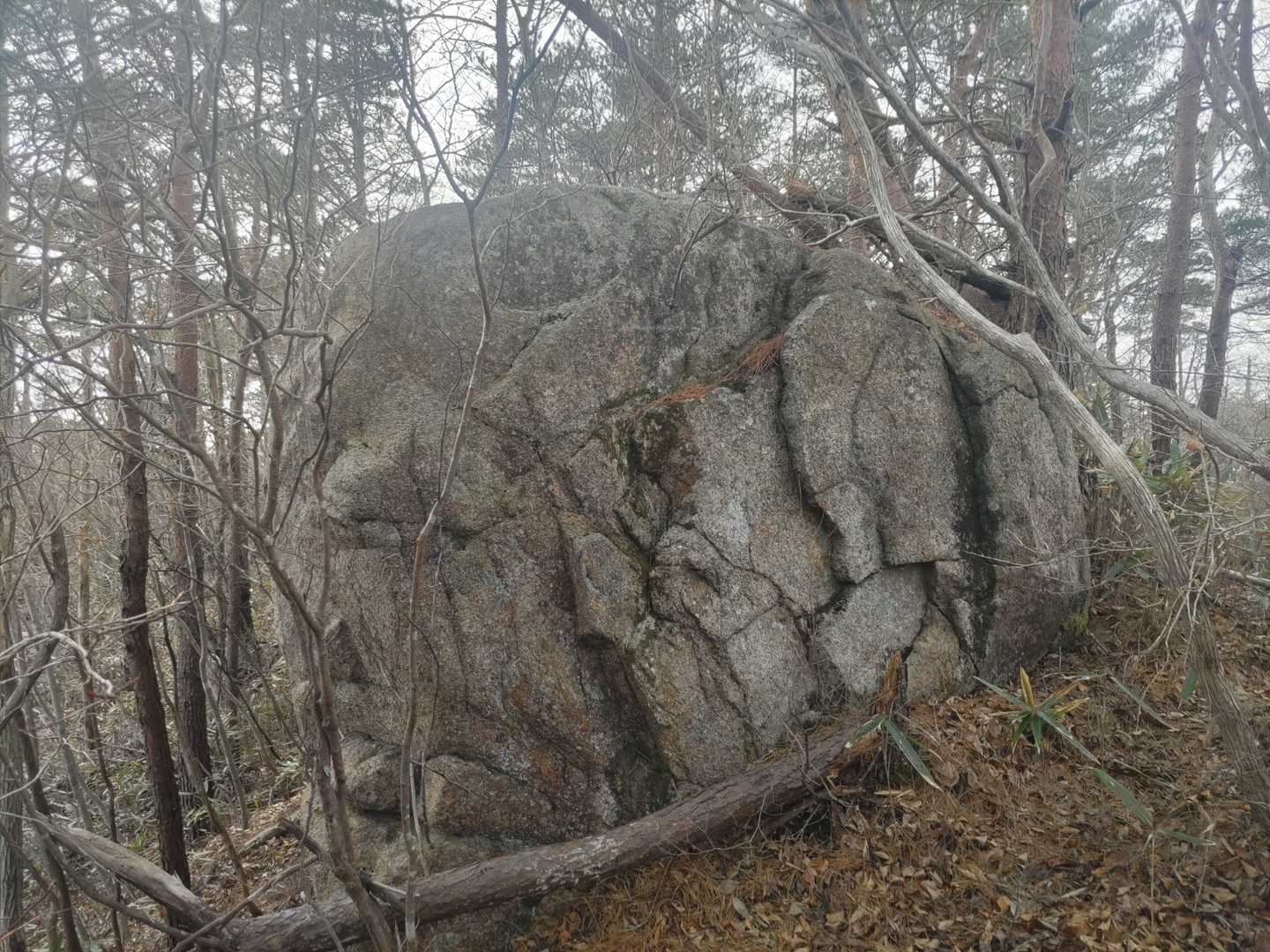 頂上付近の大岩