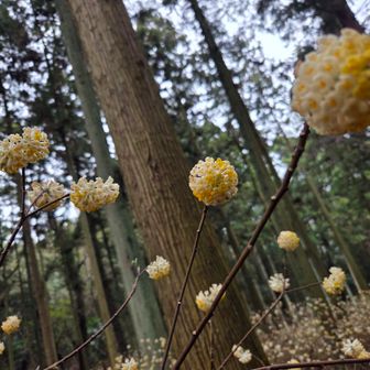 なかなか進まず(笑)