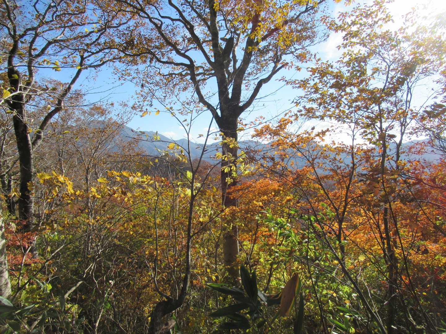 右側には三ノ峰や銚子ヶ峰などの山々が見える。