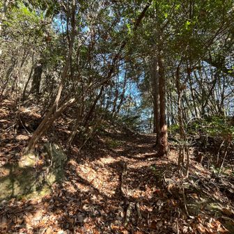 破線ルートですが、とても分かりやすく、歩きやすいです。