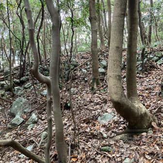 石積みがありました。