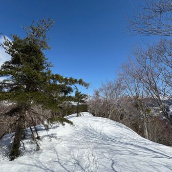 取立山 次のピークで折り返します⛰️