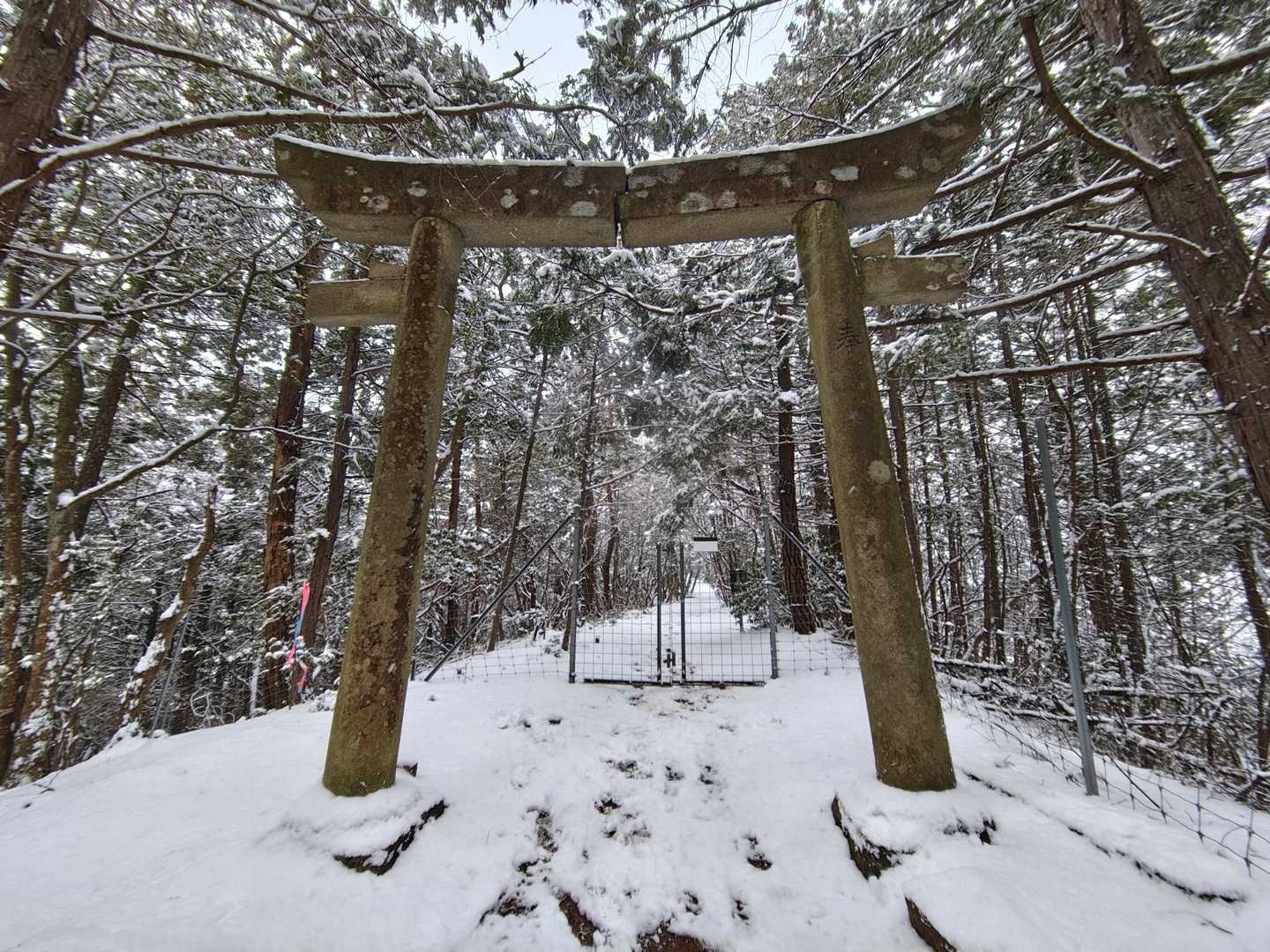 ドアを閉めて。。
やっぱり気になる割れ目🥹