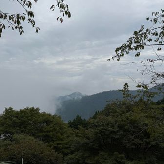 雲が厚いな〜