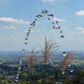 水飲み場があったので水分補給💧
