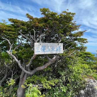 三俣山北峰 1690m
ピストンで本峰へ30分なので戻ろうとしましたが
団体さんから激坂登り返すより御鉢巡りの方が
道も景色も良いと伺いました
YAMAPによると南峰まで
ピストン45分､御鉢巡り60分だったので
御鉢巡りを選択しました