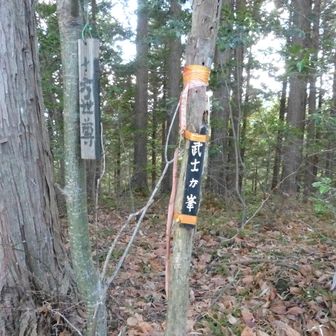 ふ～、着きました。武士ヶ峯。ここは厳密には北峰の山頂。標高は1014m。
