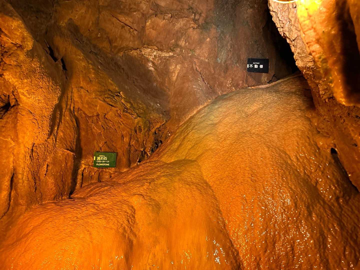竜ヶ石山 周回コースの写真