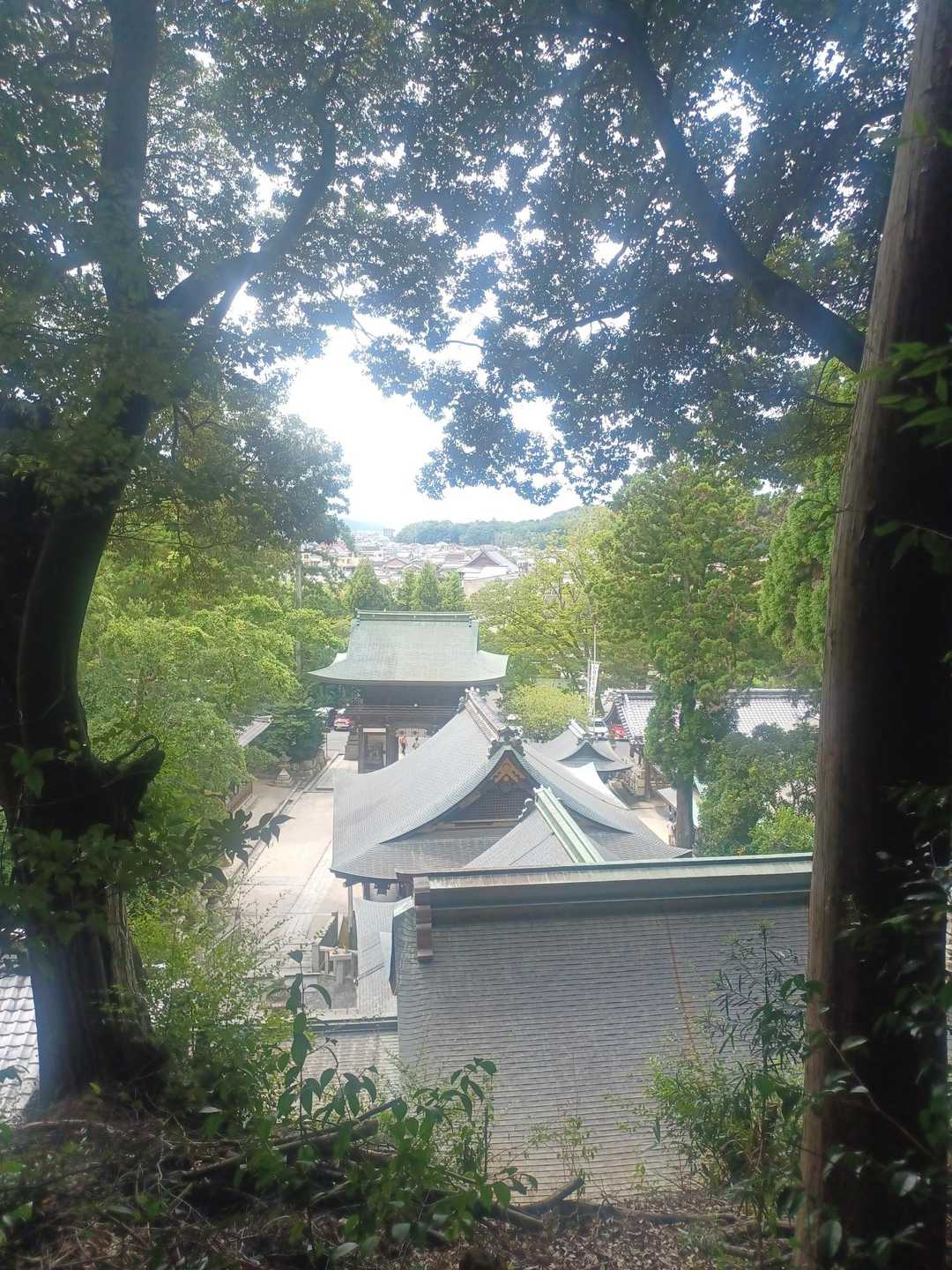 八幡宮の裏に出ました