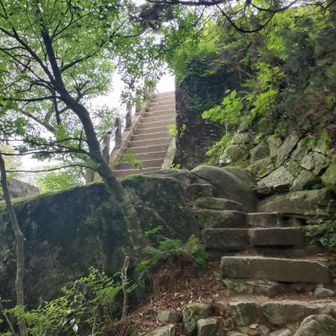 階段の上
たぶん山頂