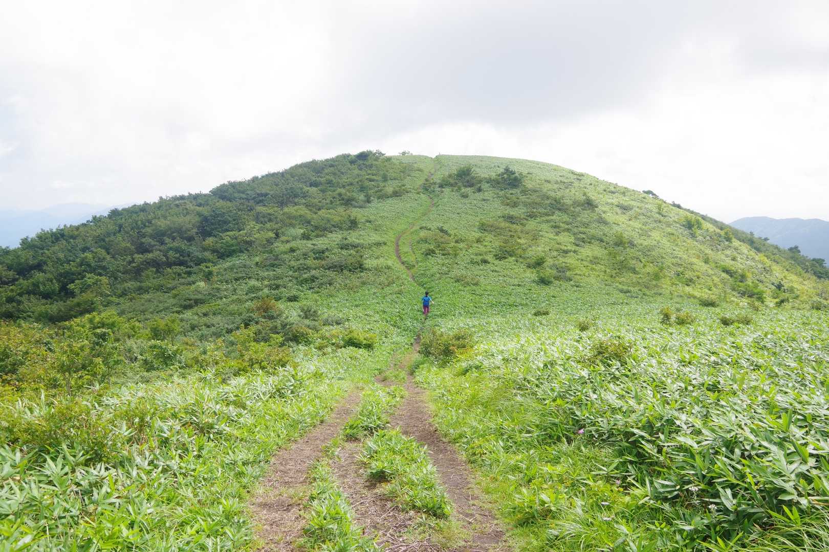 月見が丘登山口-岩樋山 往復コースの写真